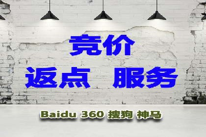 百度SEM竞价推广，案例解析转化率提升秘诀