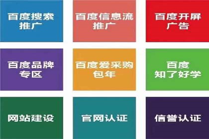 SEM推广策略：实战案例解析